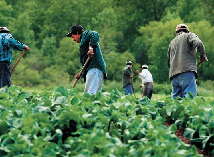 Canada to make major changes to temporary foreign worker regulations